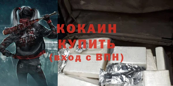 дурь Бородино