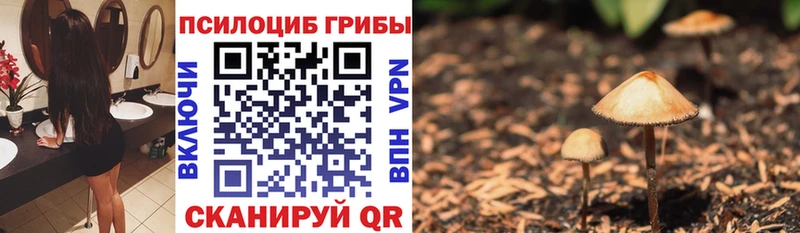 Купить где  Скопин  Галлюциногенные грибы прущие грибы 